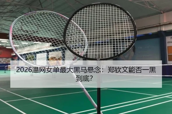 2026温网女单最大黑马悬念：郑钦文能否一黑到底？